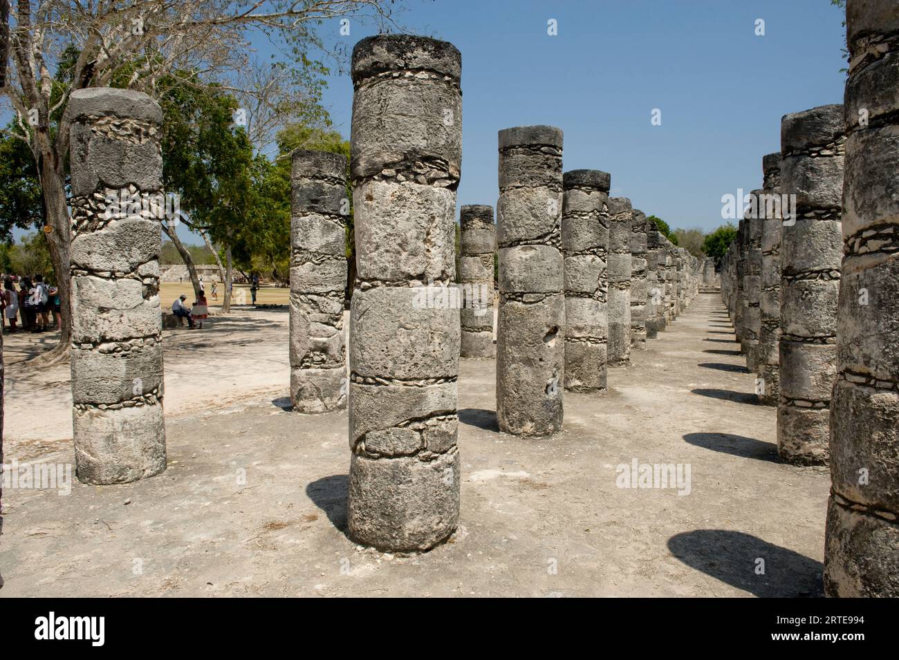 Columns in the Temple of a Thousand Warriors in Chichen Itza; Yucatan Peninsula, Mexico Stock Photo