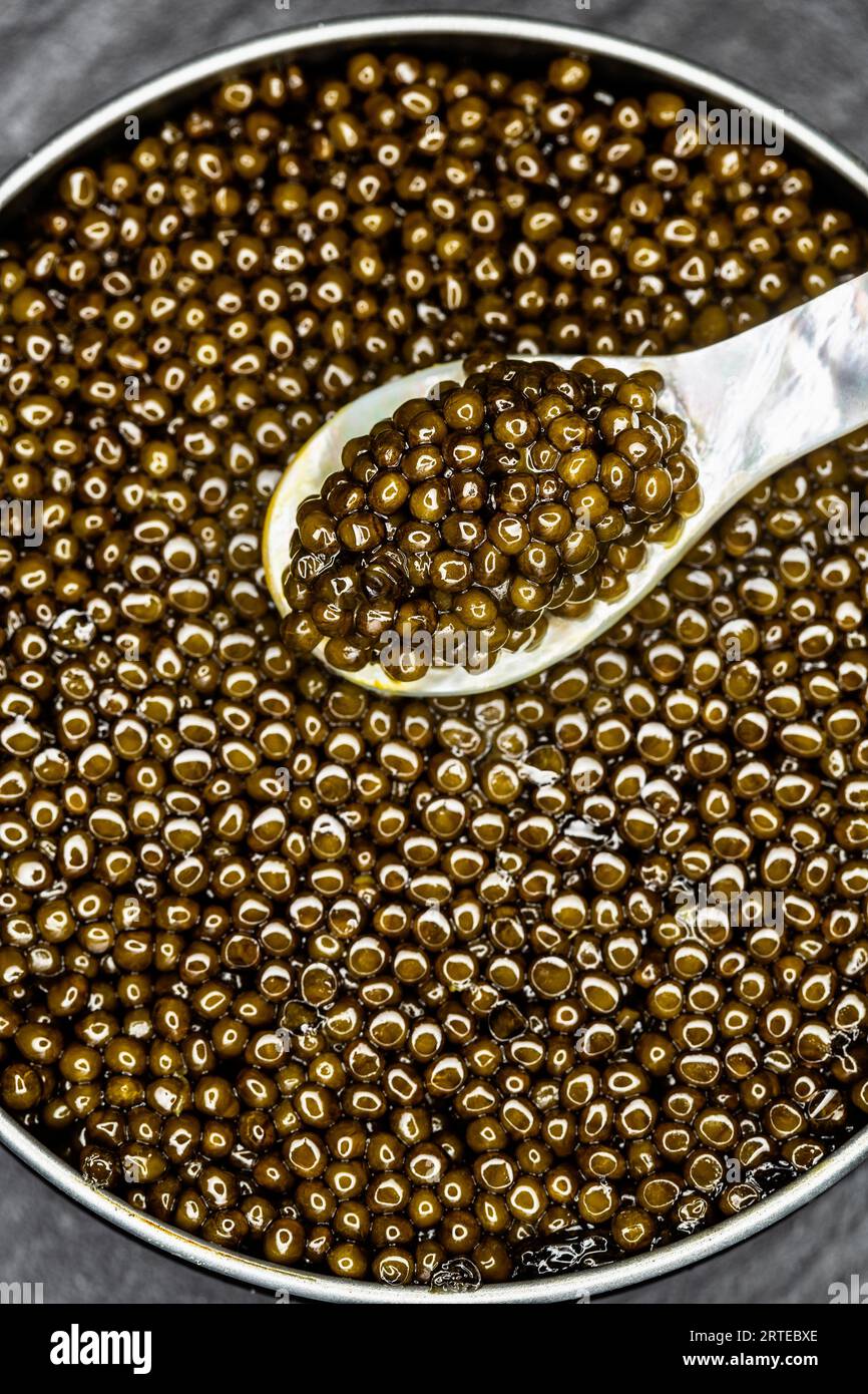 Caviar Stock Photo