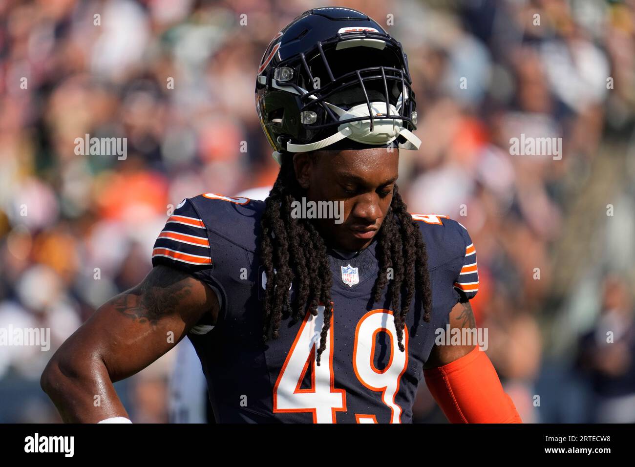 Half bears hot sale half packers jersey