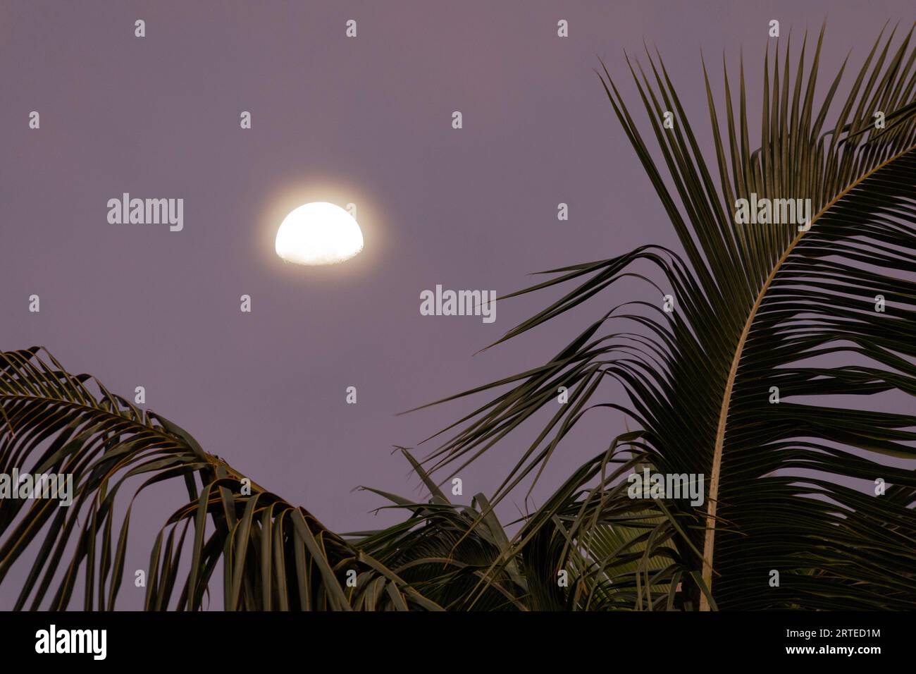 Purple sky night hi-res stock photography and images - Alamy