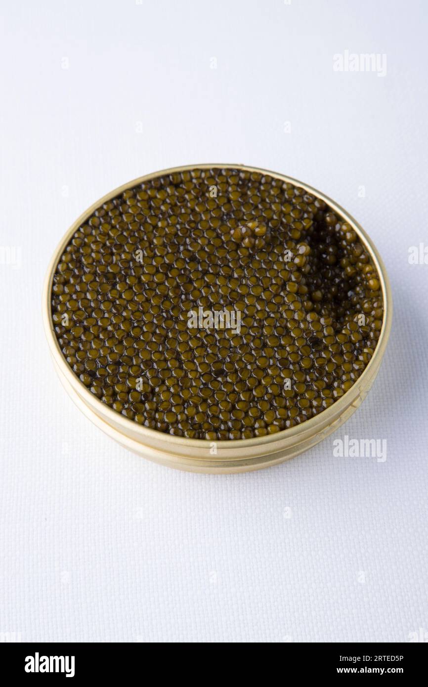 Beluga caviar (black) on spoon. Stock Photo