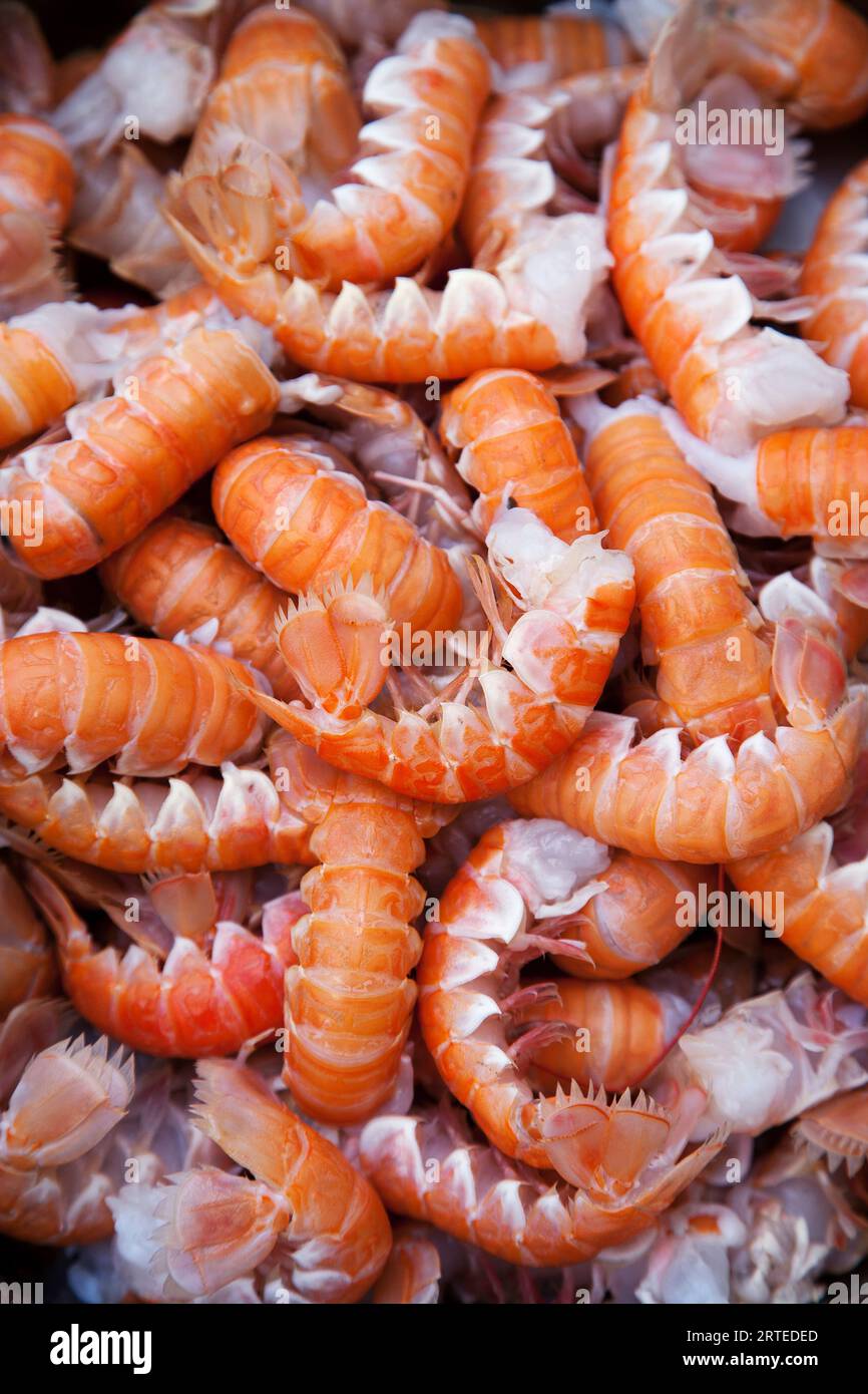 Shrimp (full picture Stock Photo - Alamy
