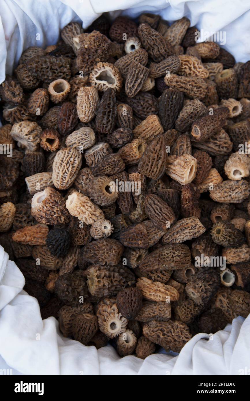 Morels in white cloth Stock Photo