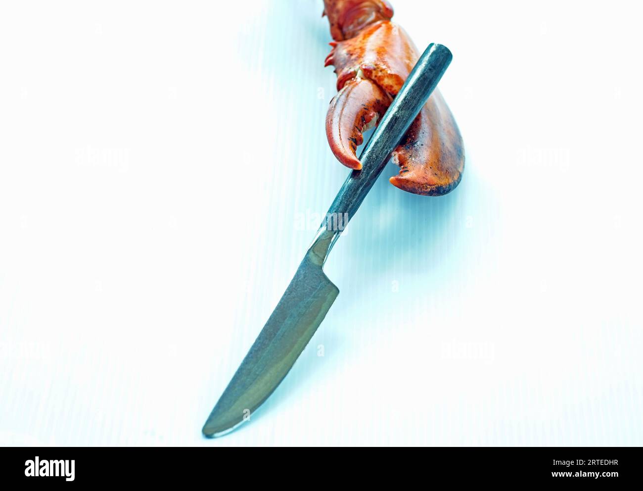 Lobster claw with knife Stock Photo