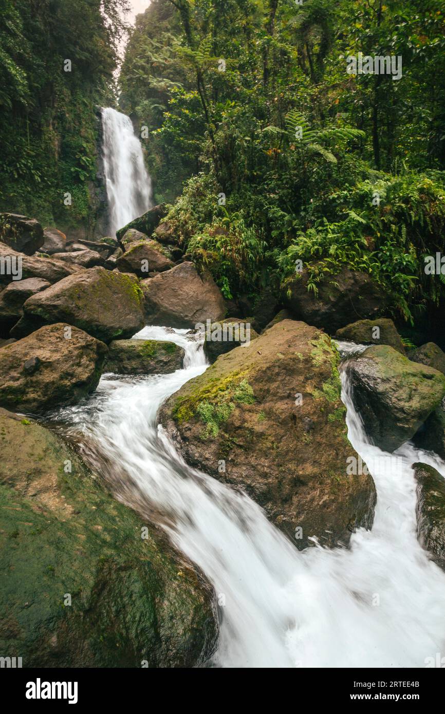 View of the lush vegetation and rushing water of Trafalgar Falls on the Caribbean Island of Dominica in Morne Trois Pitons National Park Stock Photo