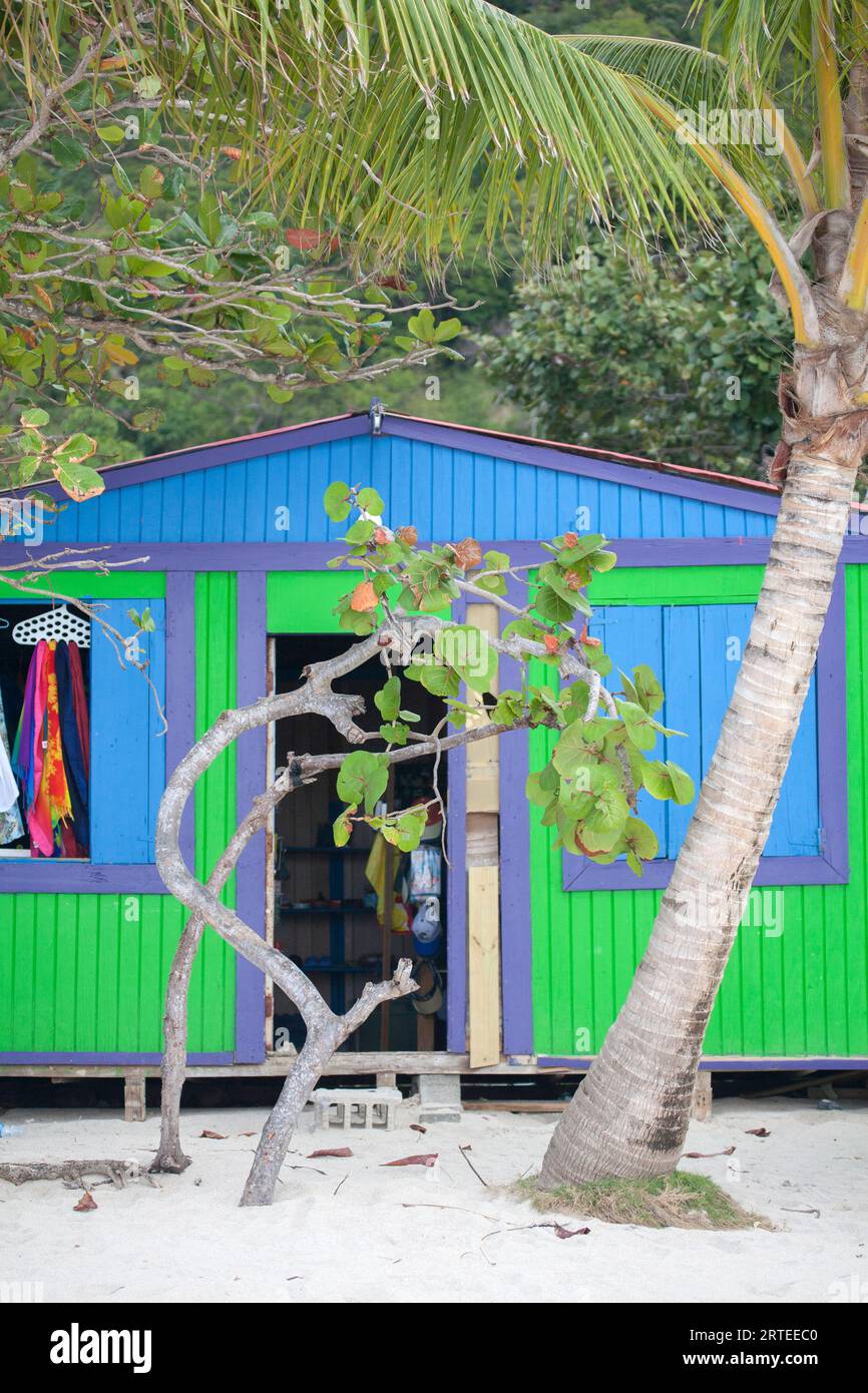 Close-up of a colorful, beach hut boutique on the sandy beach in Cane Garden Bay with palm tree and tropical plants Stock Photo