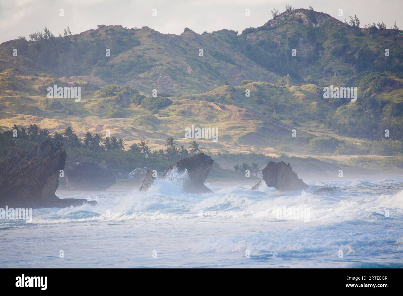 Scenic view of large surf, ocean waves crashing against the rocks at the beach in Bathsheba; Bathsheba, Barbados, Caribbean Stock Photo