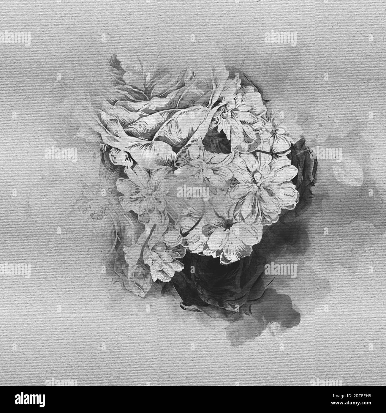 Watercolor painting of hydrangea flowers on white background Stock