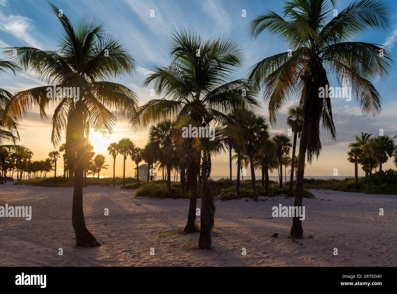 Sunset landscape tropical beach palm hi-res stock photography and ...