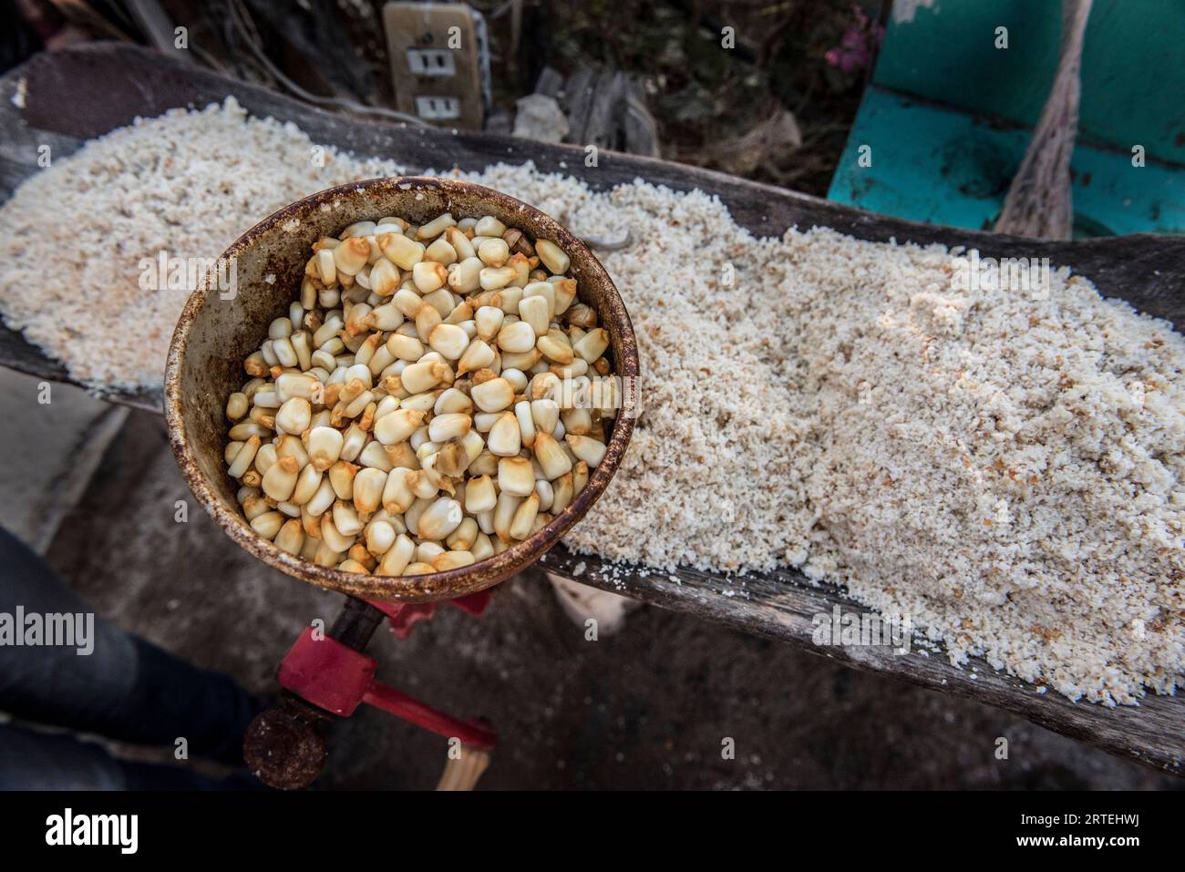 Corn kernels and ground corn in a Mexican home; Ejido Hidalgo, San Luis, Mexico Stock Photo