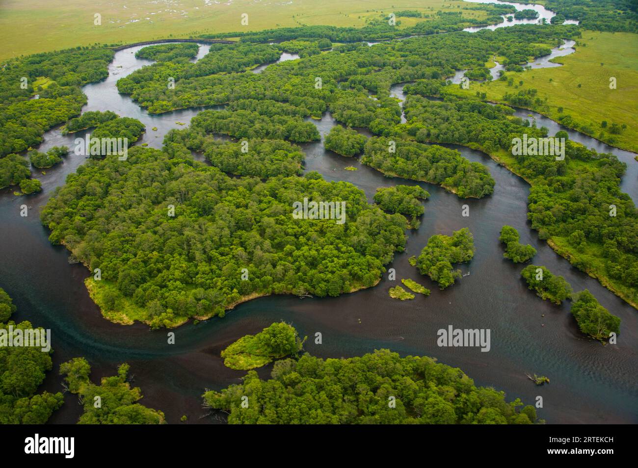 Salmon spawn in Kronotsky Nature Reserve's clear running rivers Stock