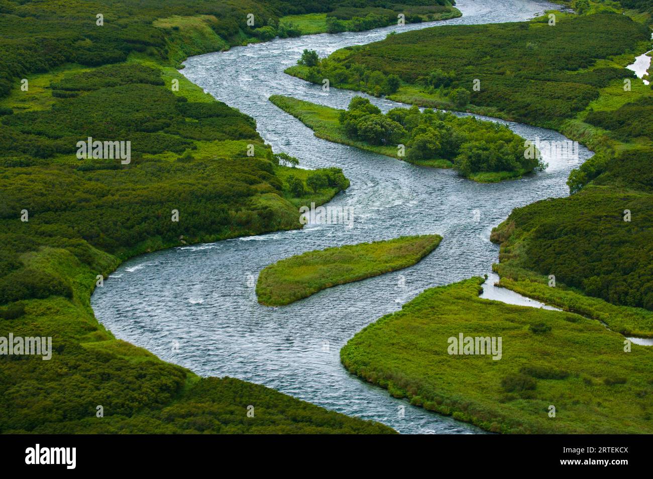 Salmon spawn in Kronotsky Nature Reserve's clear running rivers; Kronotsky Zapovednik, Kamchatka, Russia Stock Photo
