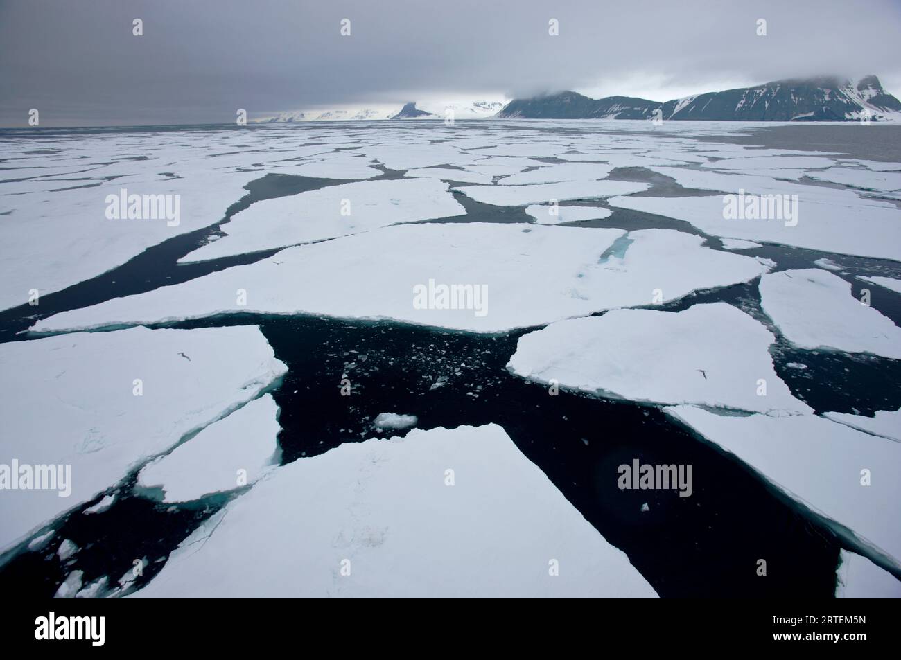 Broken ice in the Svalbard Archipelago; Spitsbergen, Svalbard Archipelago, Norway Stock Photo