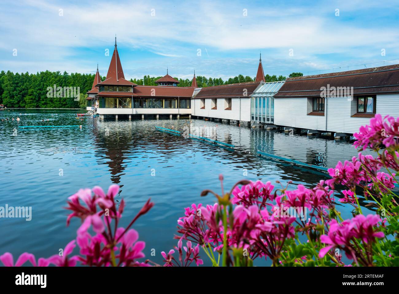 Thermal Lake Hévíz in Hévíz, Hungary Stock Photo Alamy