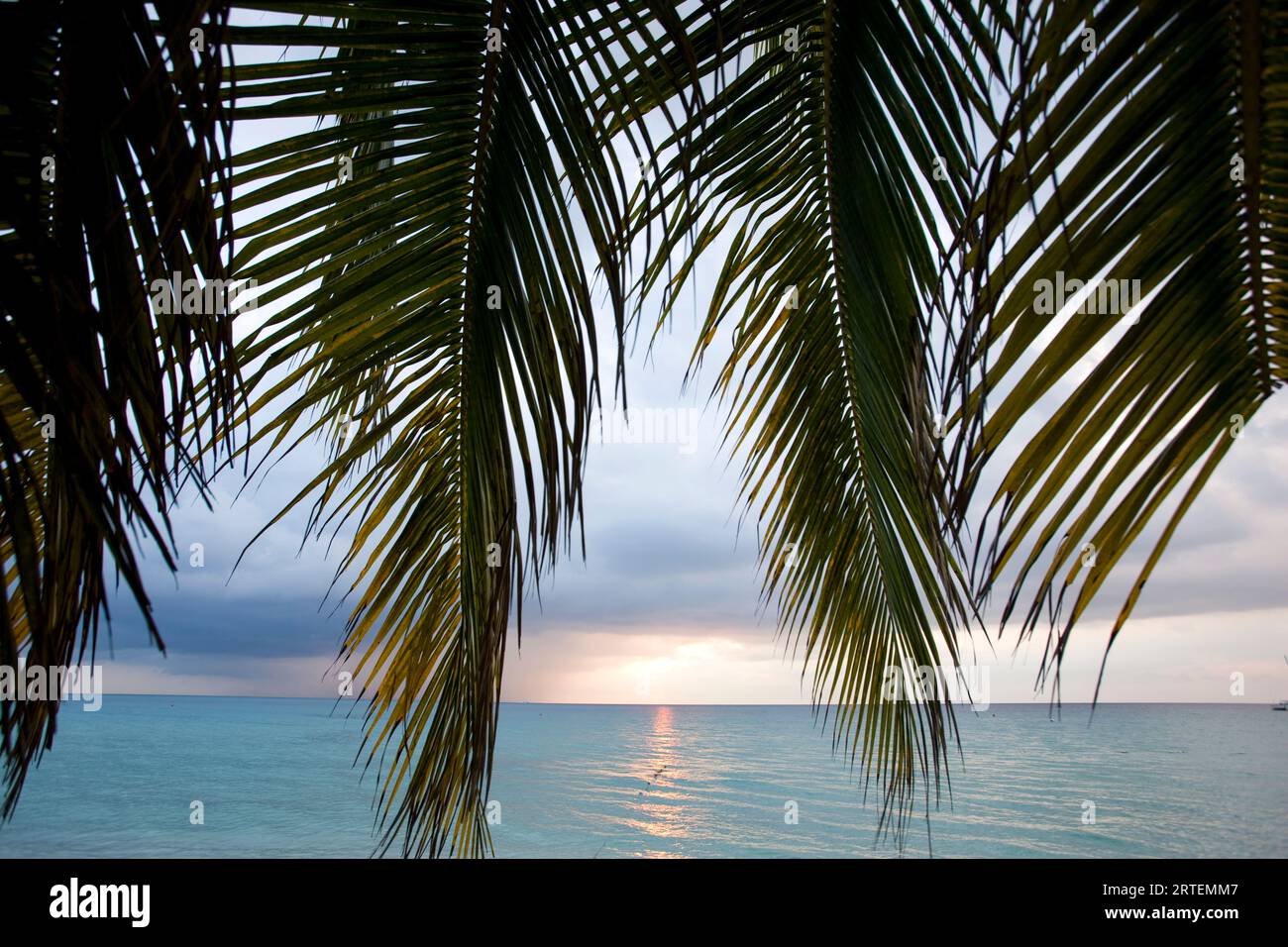 Beautiful sunset beach trees hi-res stock photography and images - Alamy