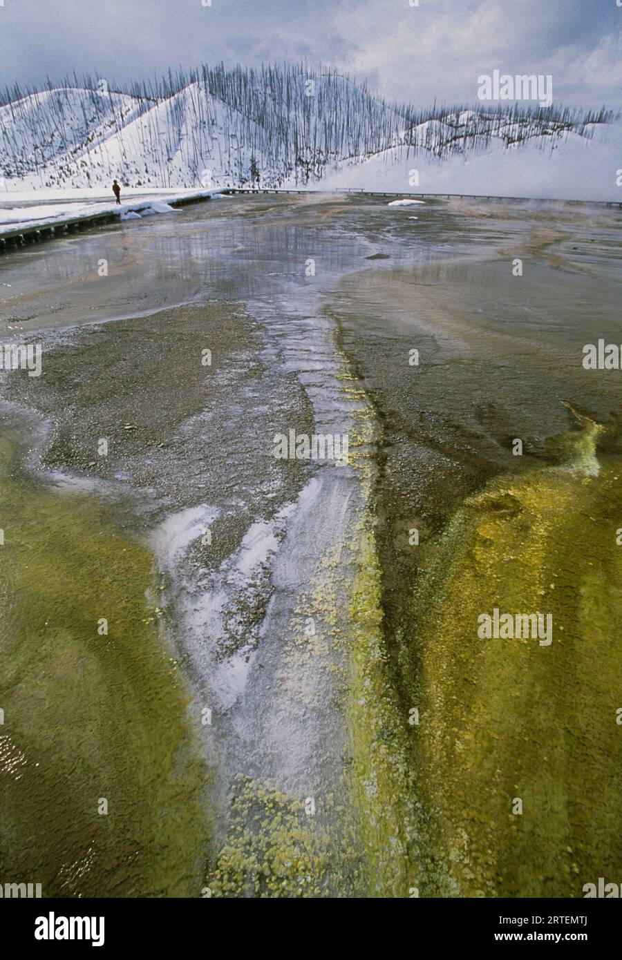 Tourist at Upper Geyser Basin, Yellowstone National Park, Wyoming, USA; Wyoming, United States of America Stock Photo