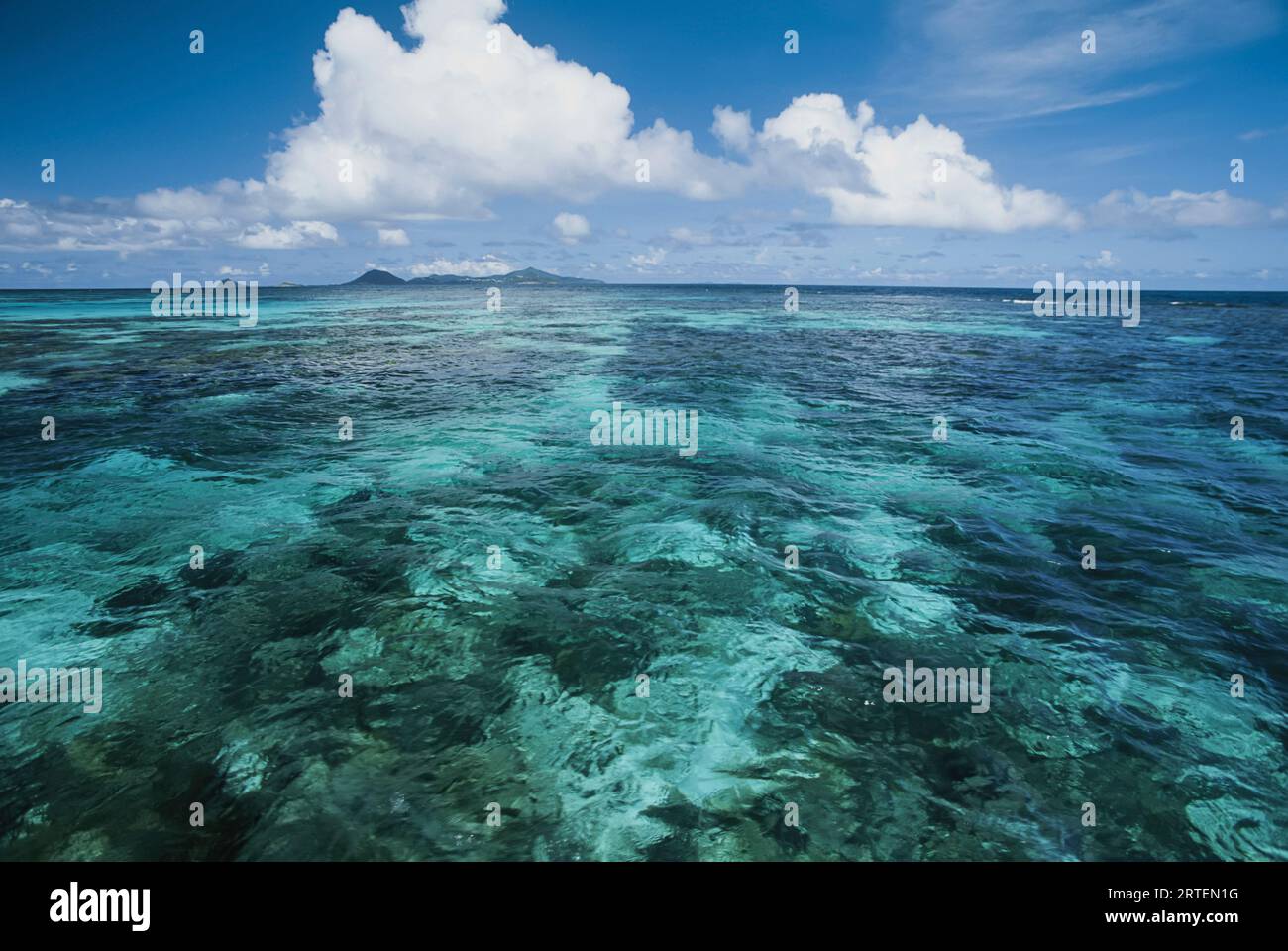 Shallow blue water stretches to the horizon; Tobago Cays, Republic of ...