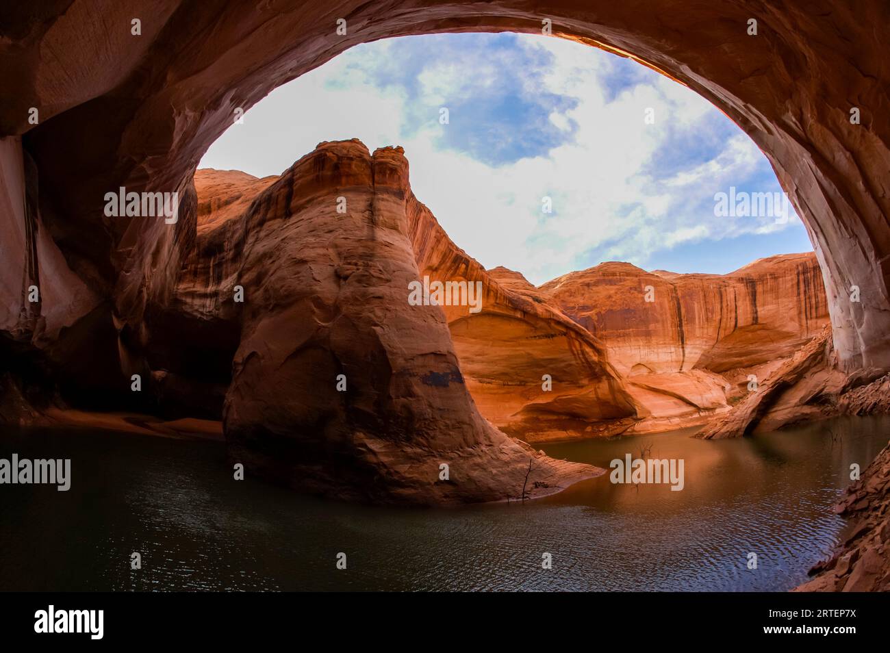 Cathedral in the Desert, Clear Creek Canyon, Escalante Branch in Glen Canyon National Recreation Area, Lake Powell, Utah, USA Stock Photo