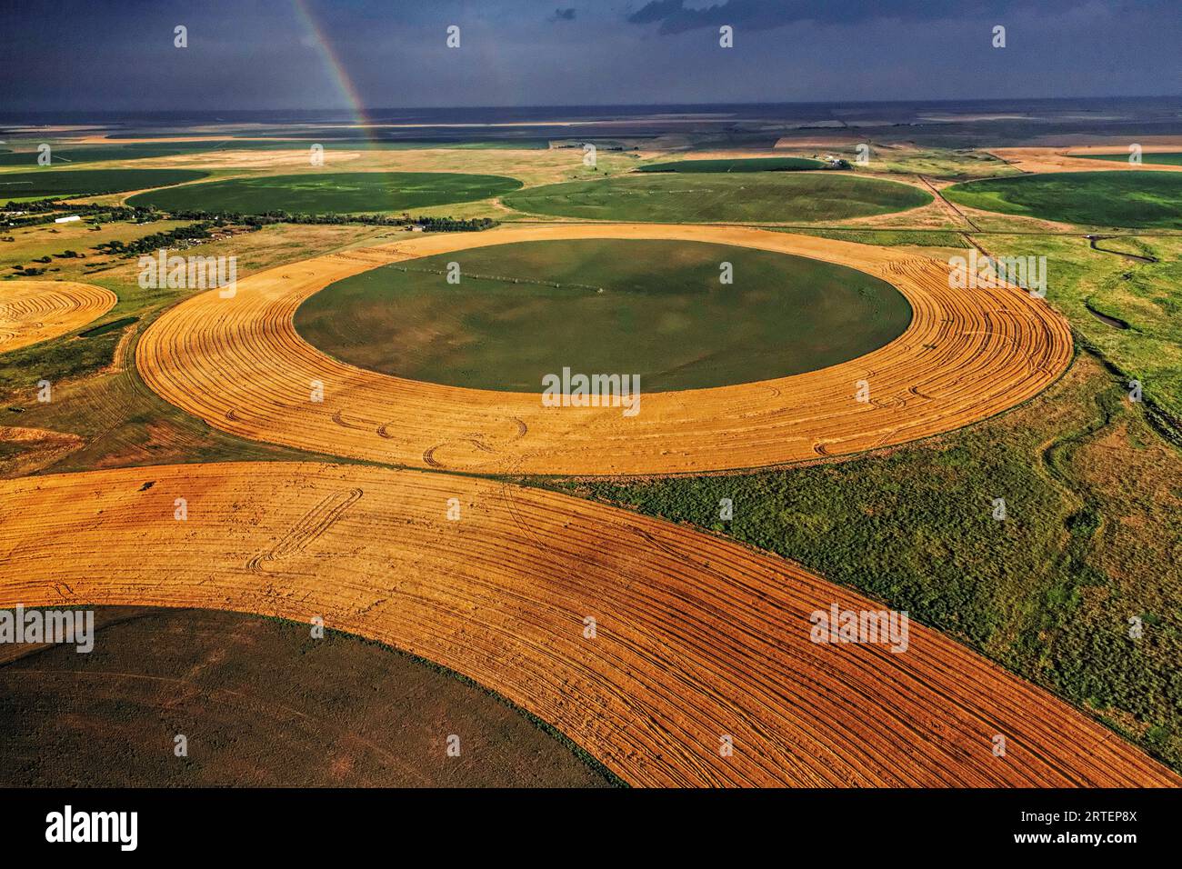 Center-pivot irrigation systems etch circles of grain and other plants in Finney County, Kansas.; Finney County, Kansas. Stock Photo