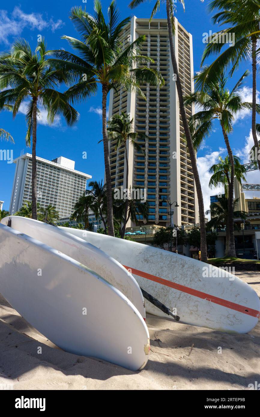 Surfboards at Waikiki beach, Honolulu, Oahu, with coconut palm trees
