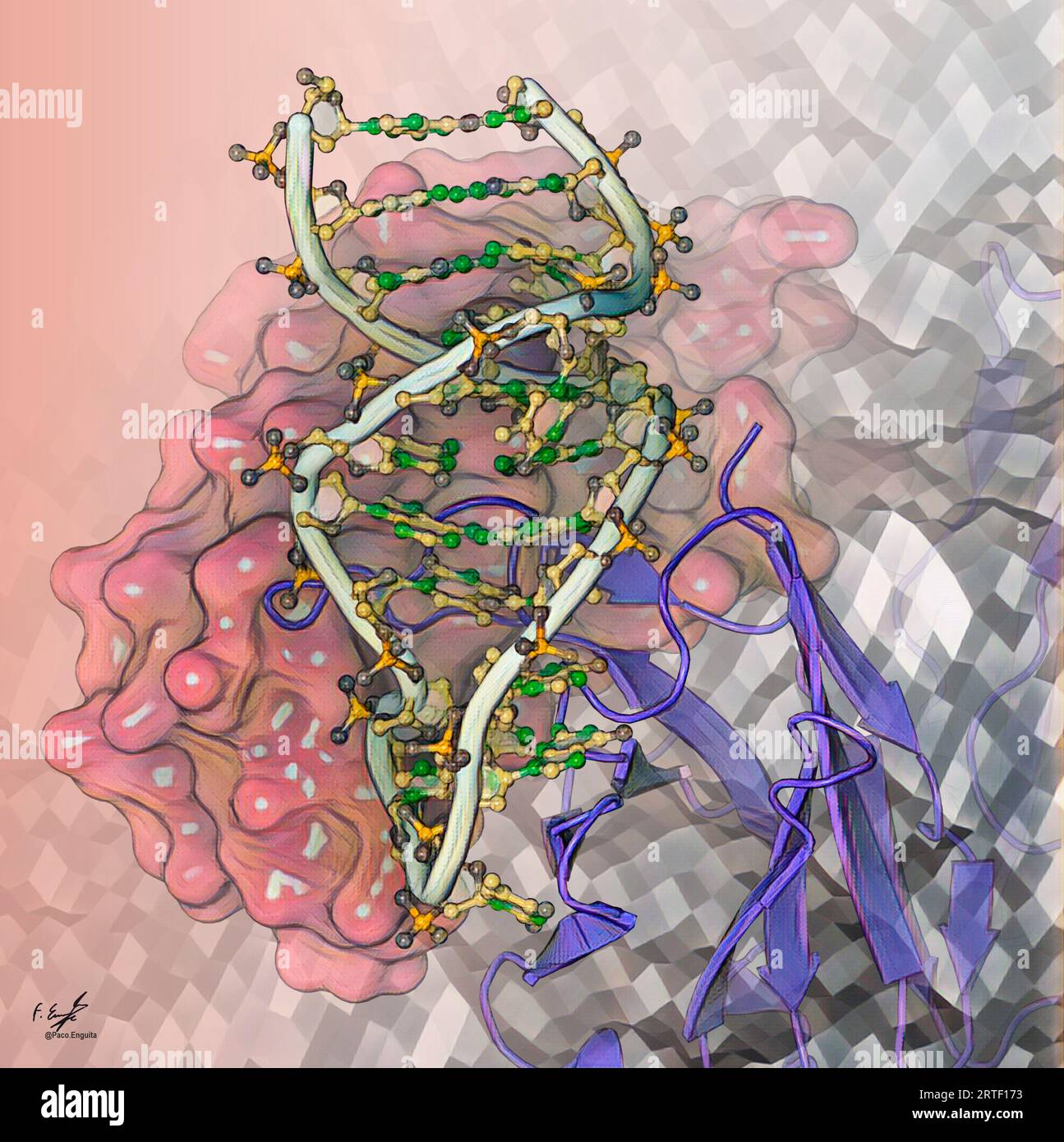 Aptamer bound to anticancer drug, illustration Stock Photo Alamy