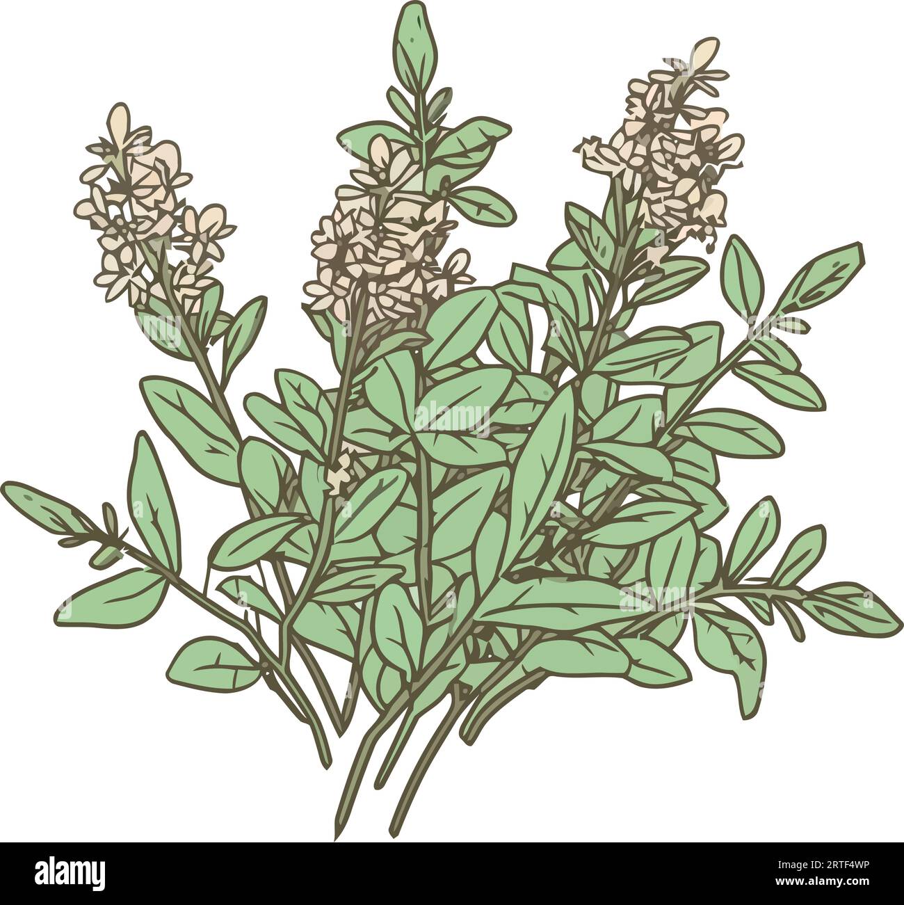 Eating tree flowers leaves Stock Vector Images - Alamy