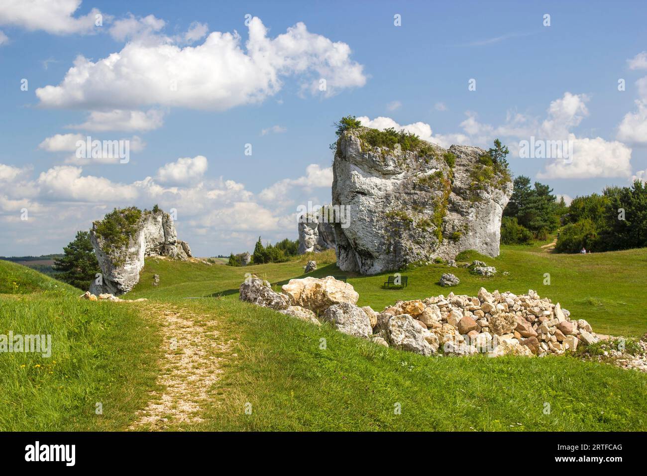 Limestone rocks in Polish Jura Krakowsko-Czestochowska near Mirow, Poland Stock Photo