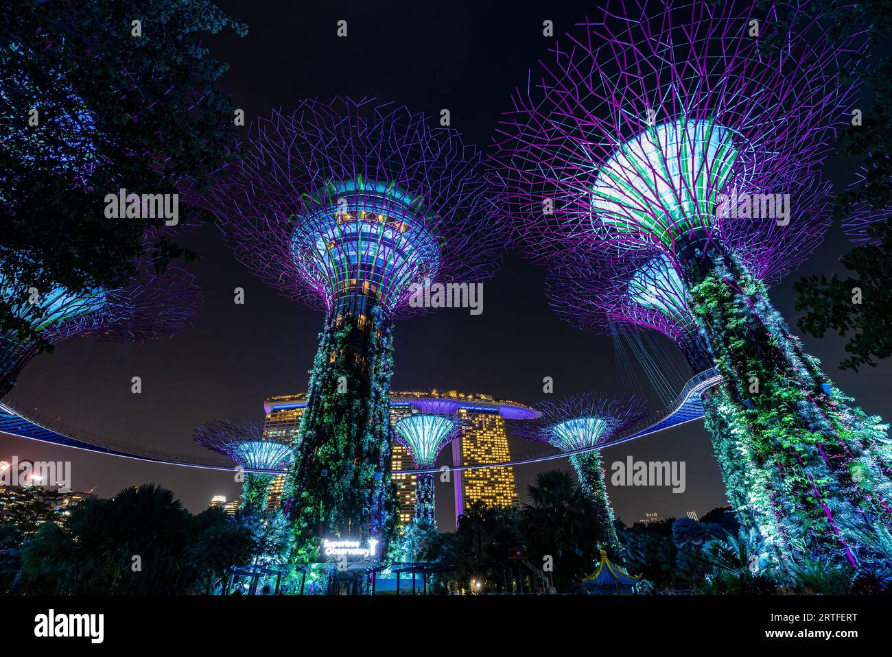 Gardens by the bay singapore 2023 hi-res stock photography and images ...