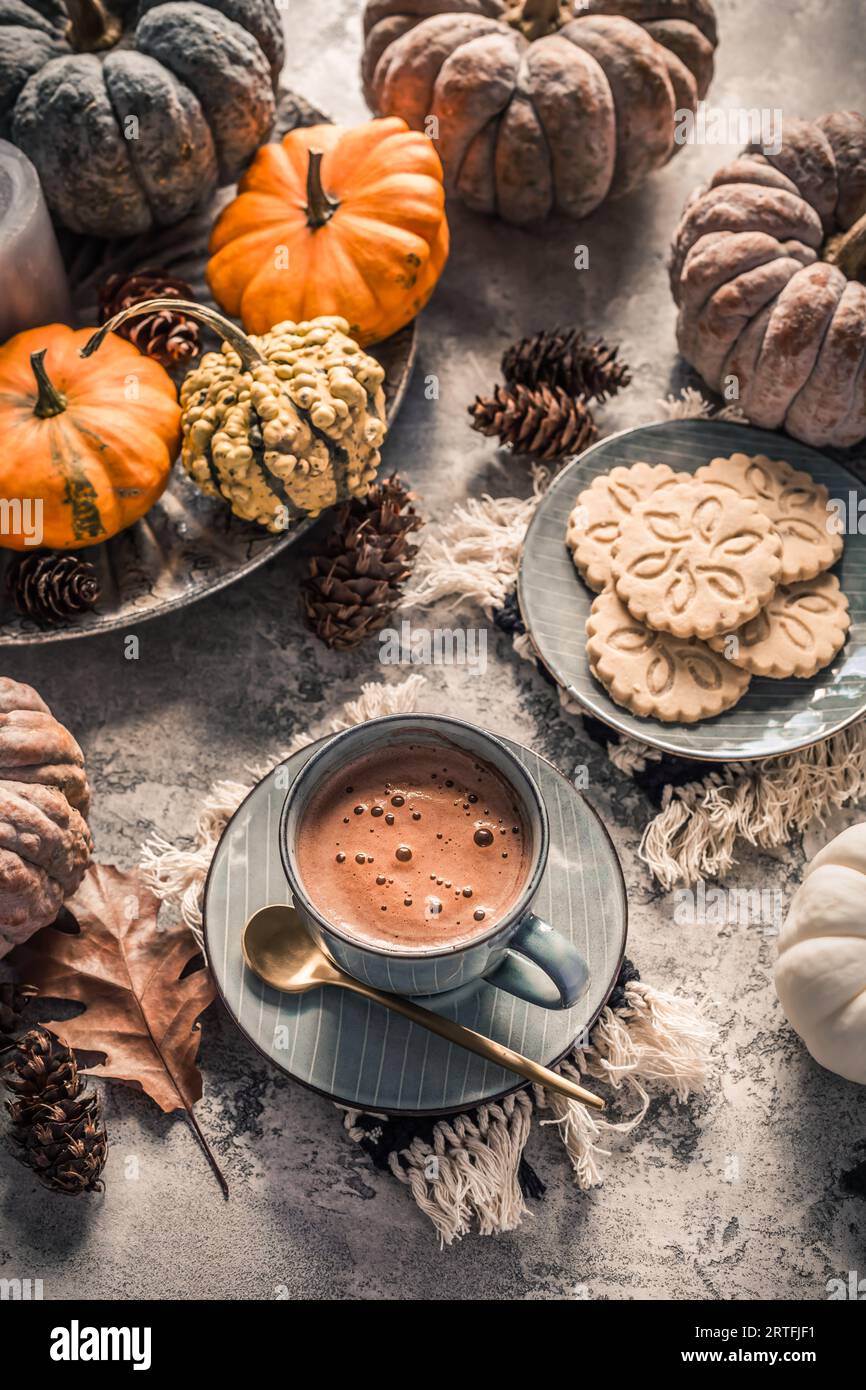 Hot chocolate biscuit cacao hi res stock photography and images Alamy Hot chocolate biscuit cacao hi res stock photography and images Alamy