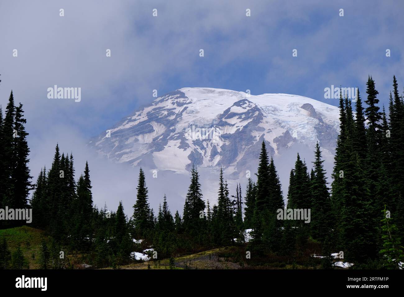 A lush landscape of trees in front of a majestic mountain range ...