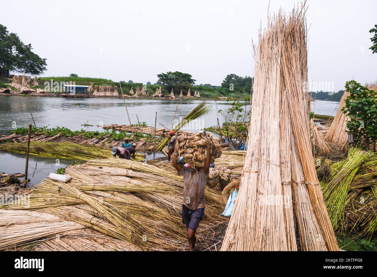 The Asia Pacific region, led by major jute producer India, dominates ...