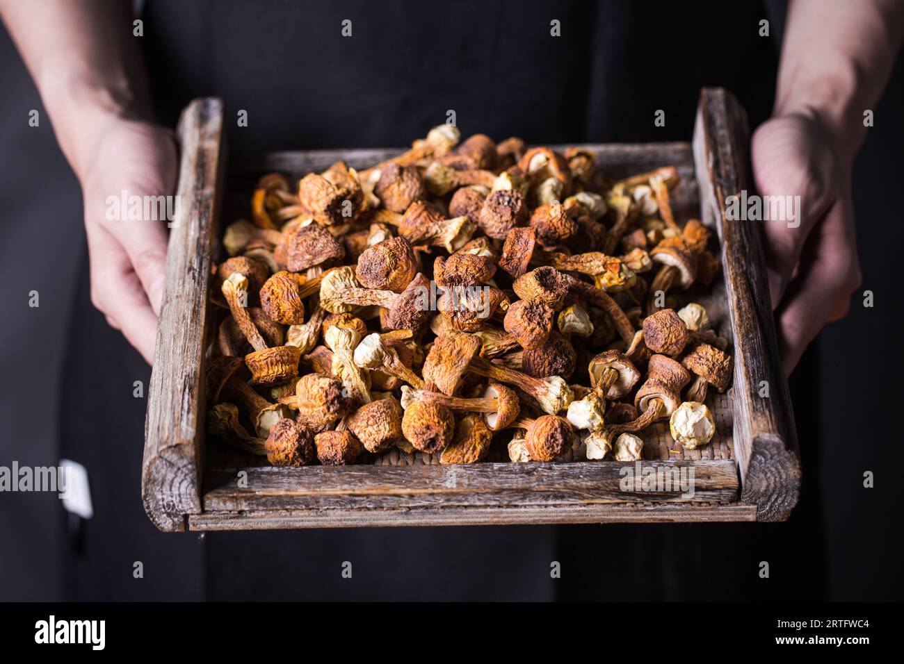 Dried velvet mushrooms, dry goods Stock Photo Alamy