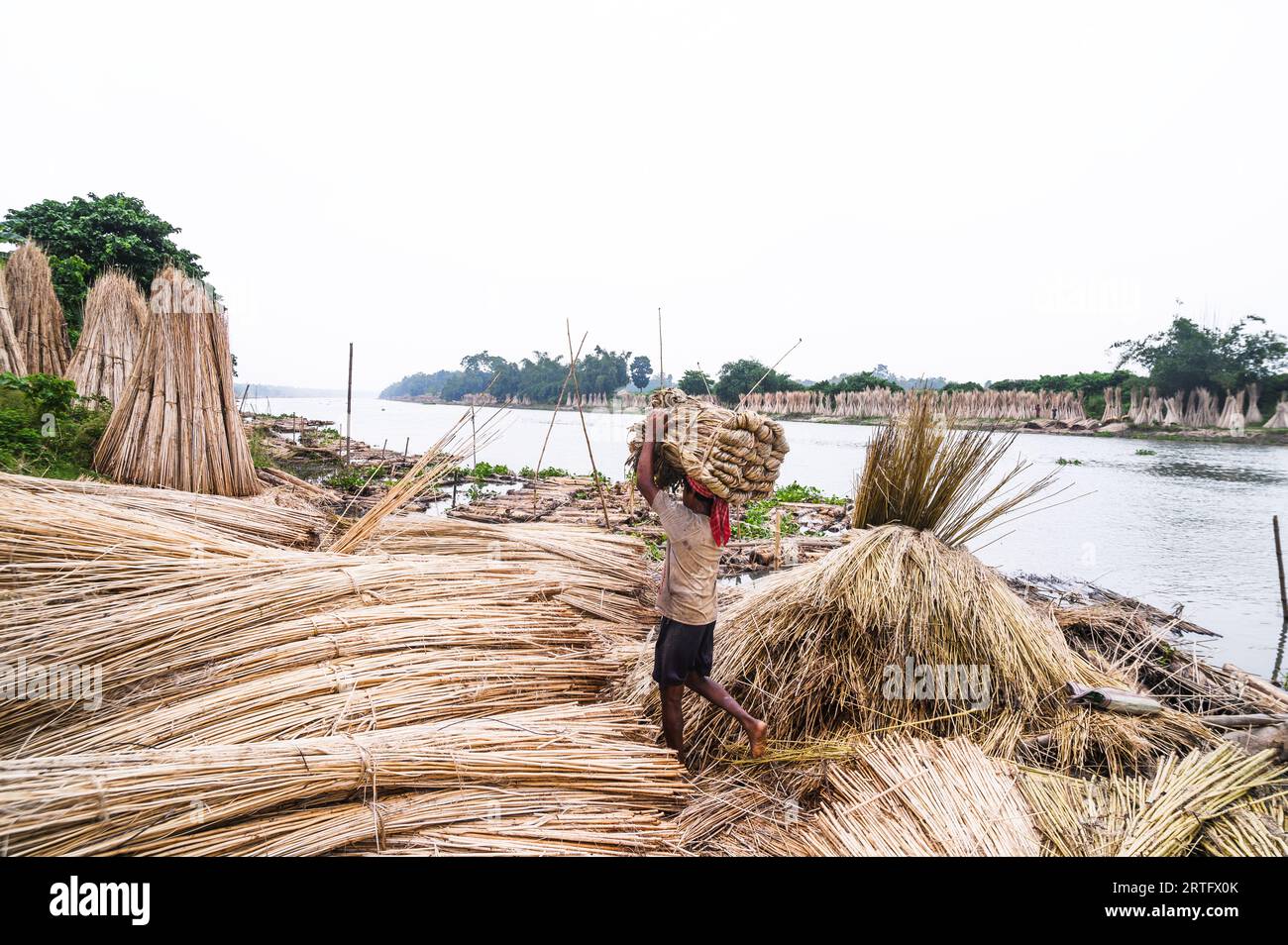 The Asia Pacific region, led by major jute producer India, dominates ...