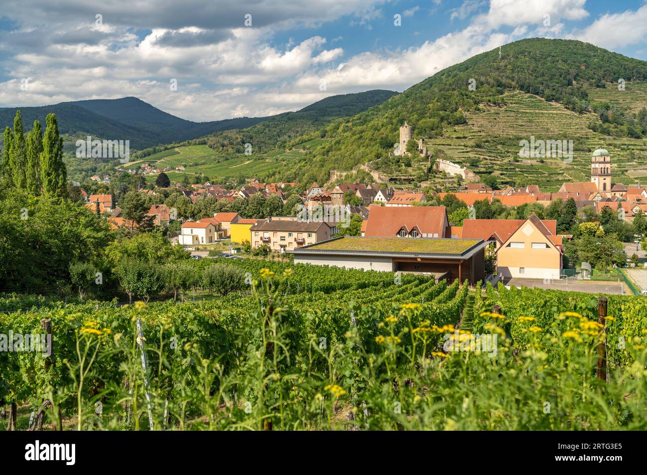 Stadtansicht und Landschaft mit Weinbergen um Kaysersberg, Elsass, Frankreich  |  Cityscape and landscape with vineyard in Kaysersberg, Alsace, France Stock Photo