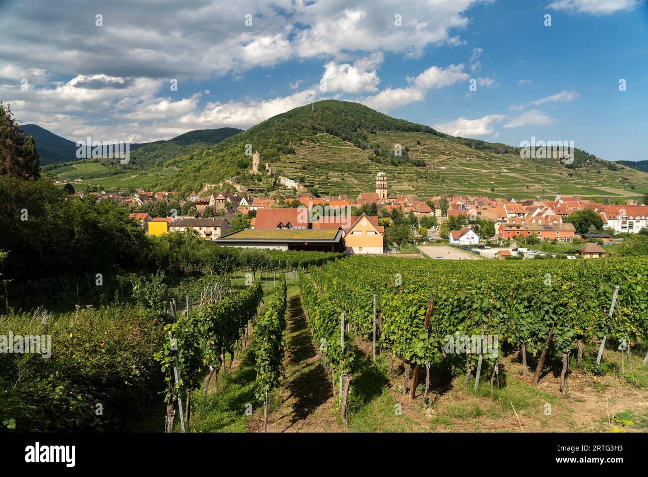 Stadtansicht und Landschaft mit Weinbergen um Kaysersberg, Elsass, Frankreich  |  Cityscape and landscape with vineyard in Kaysersberg, Alsace, France Stock Photo
