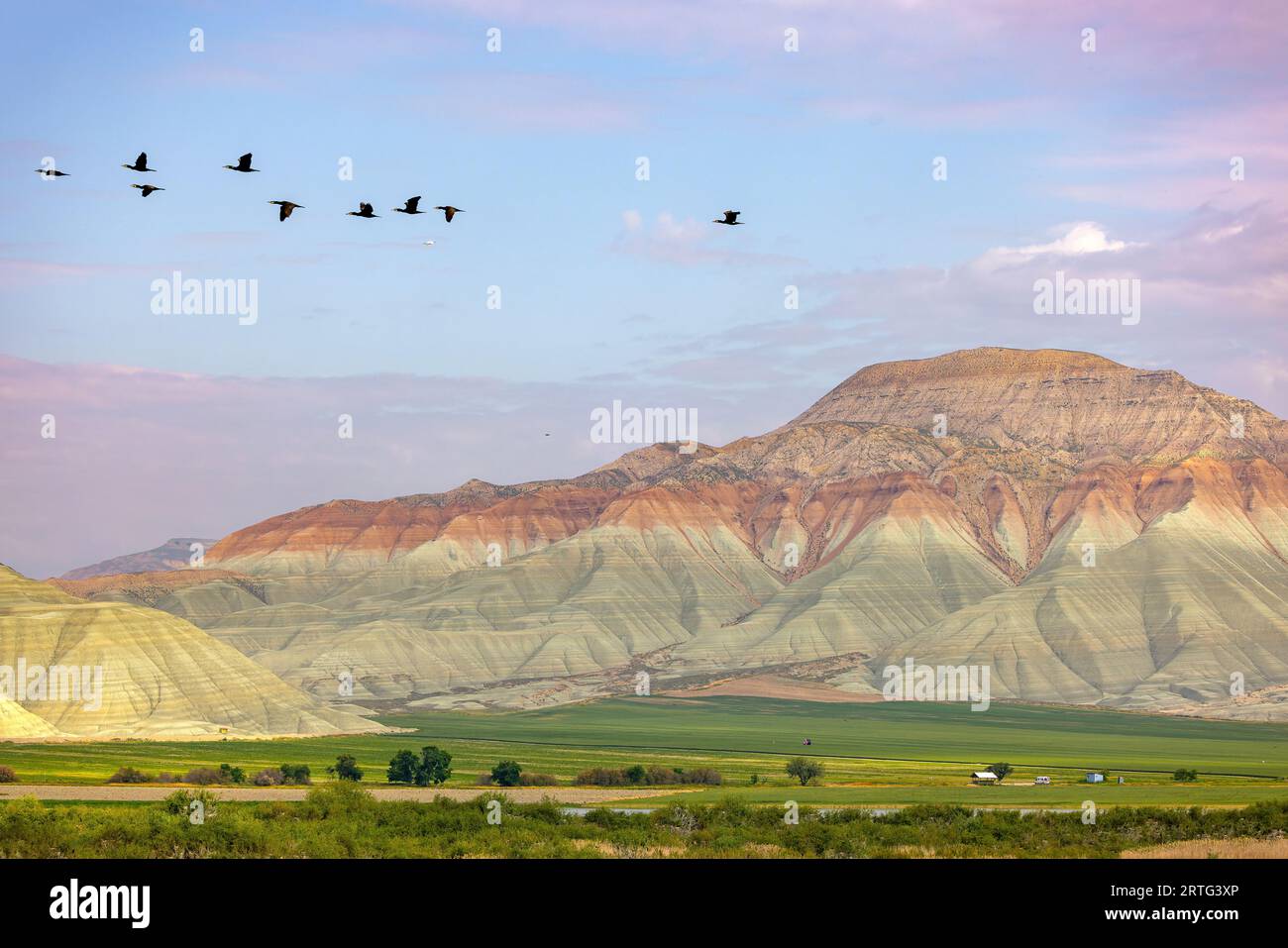 Aerial view of Ankara, Nallıhan Bird Paradise Stock Photo - Alamy