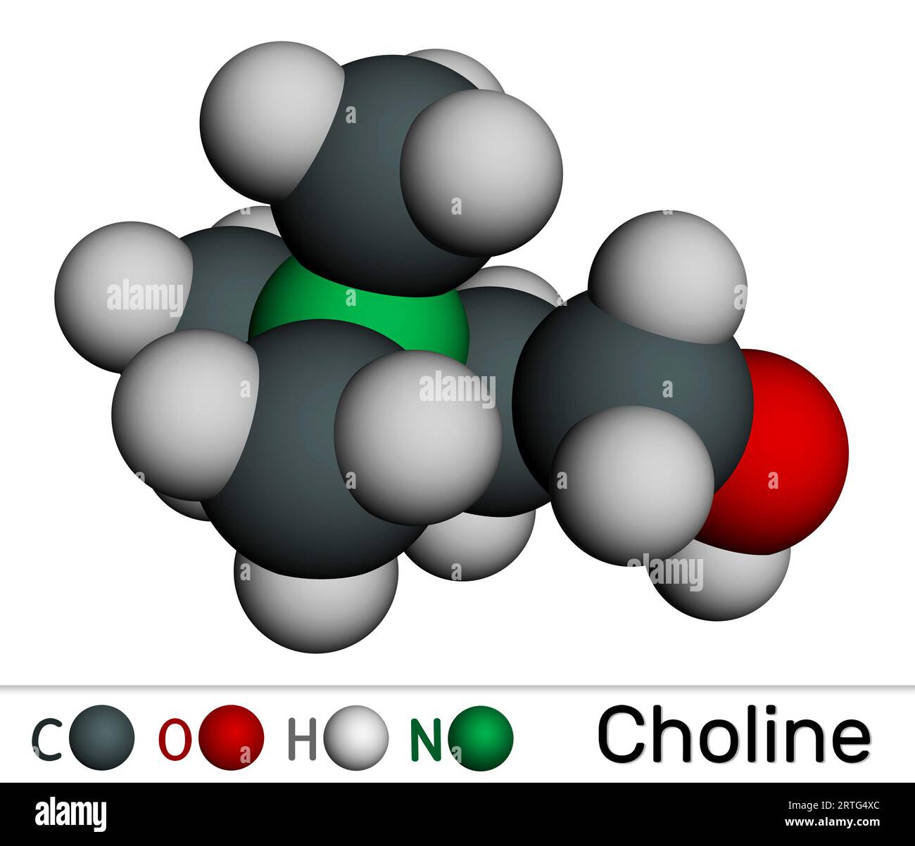 Choline vitaminlike essential nutrien molecule. It is Vitamin B4
