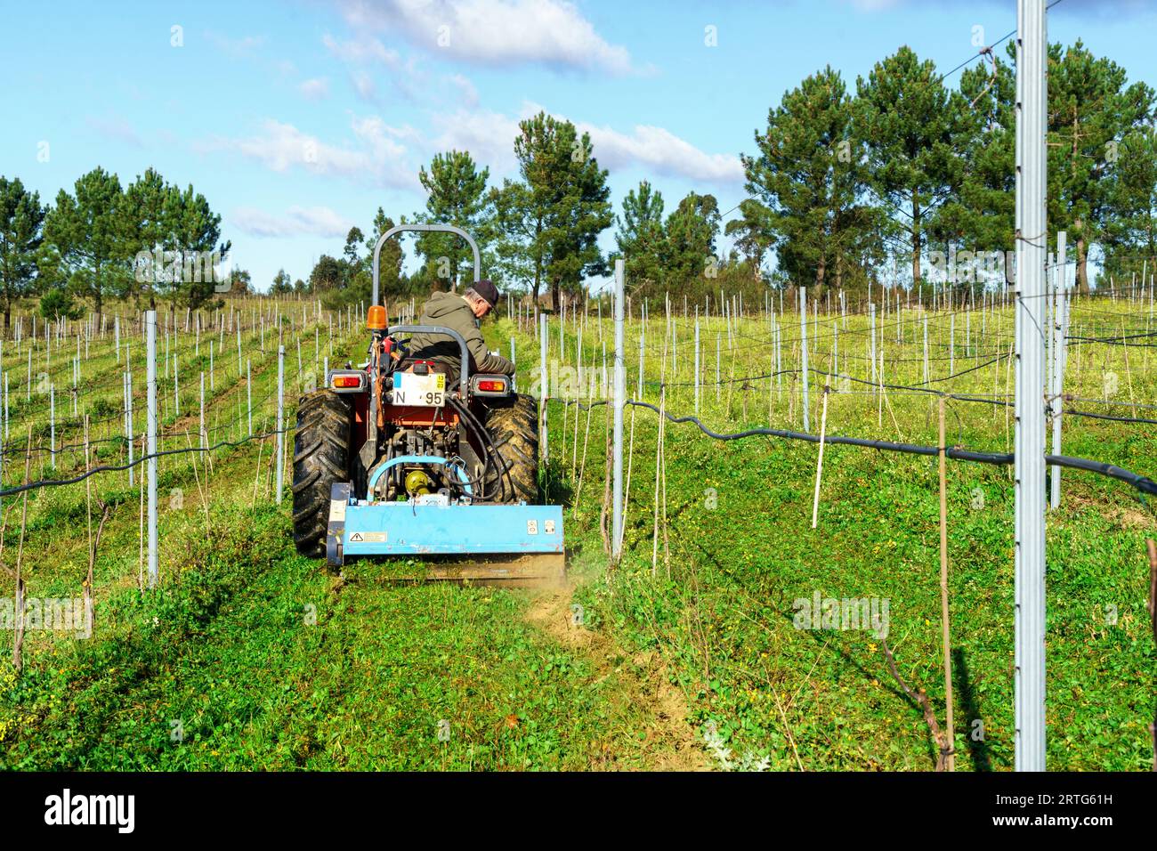 Between Grass Rows Tractor maintenance farm hi-res stock photography and images - Alamy