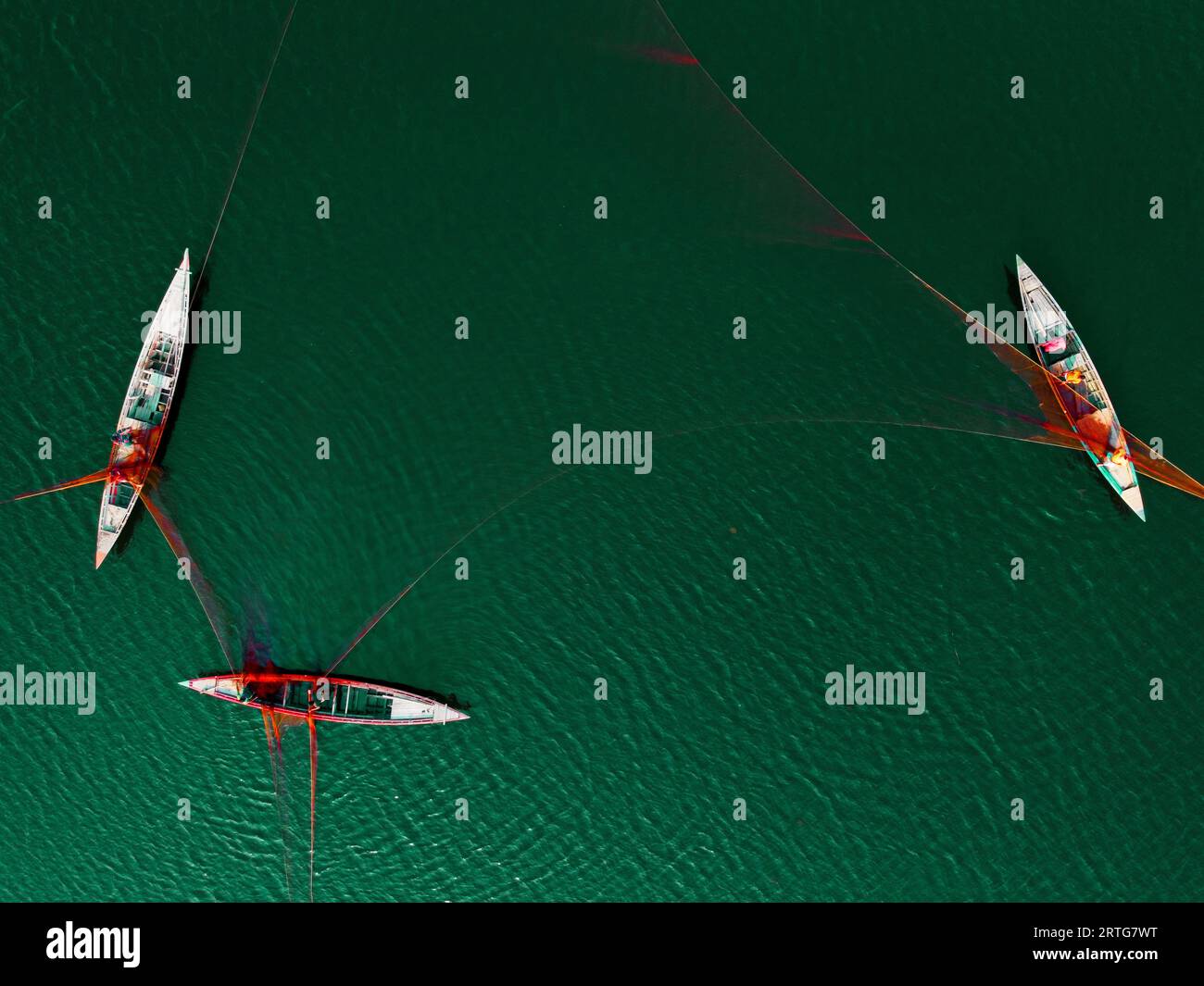 Bogra, Rajshahi, Bangladesh. 13th Sep, 2023. Fishermen stretch out an ...