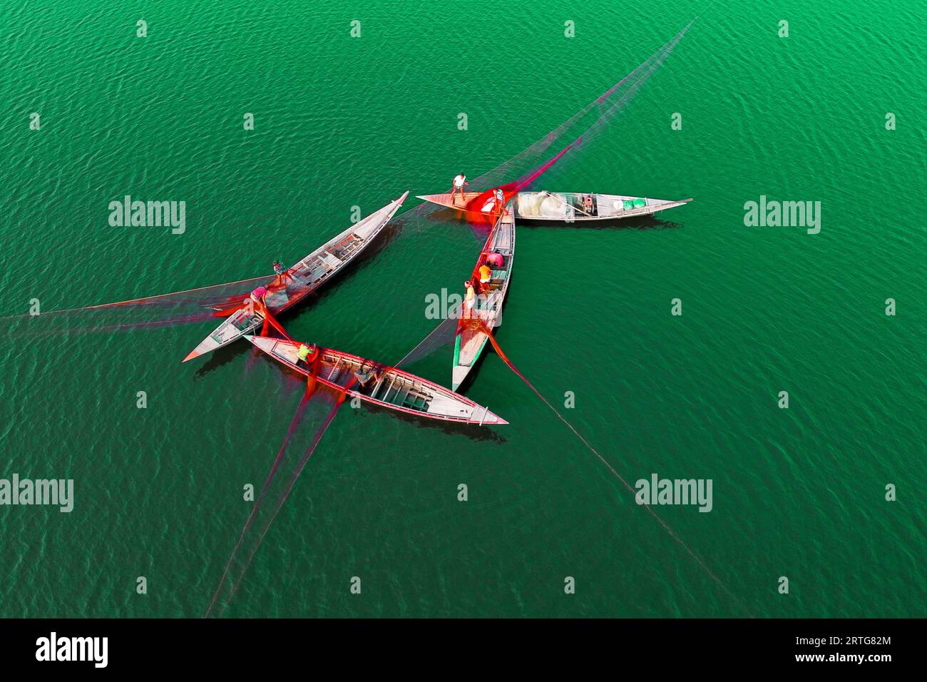 Bogra, Rajshahi, Bangladesh. 13th Sep, 2023. Fishermen stretch out an ...