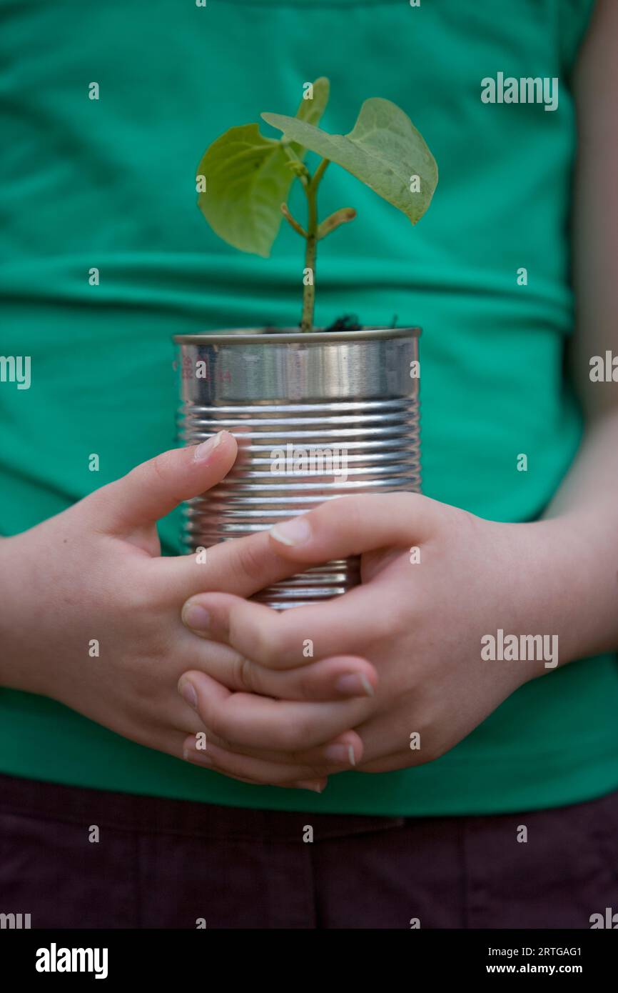 Close up of young girl hands holding a plant Stock Photo