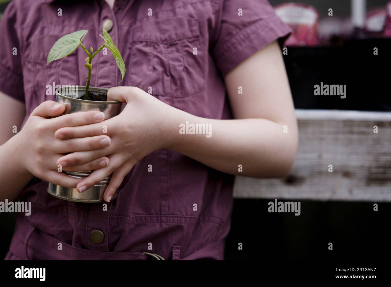 Close up of young girl hands holding a plant Stock Photo
