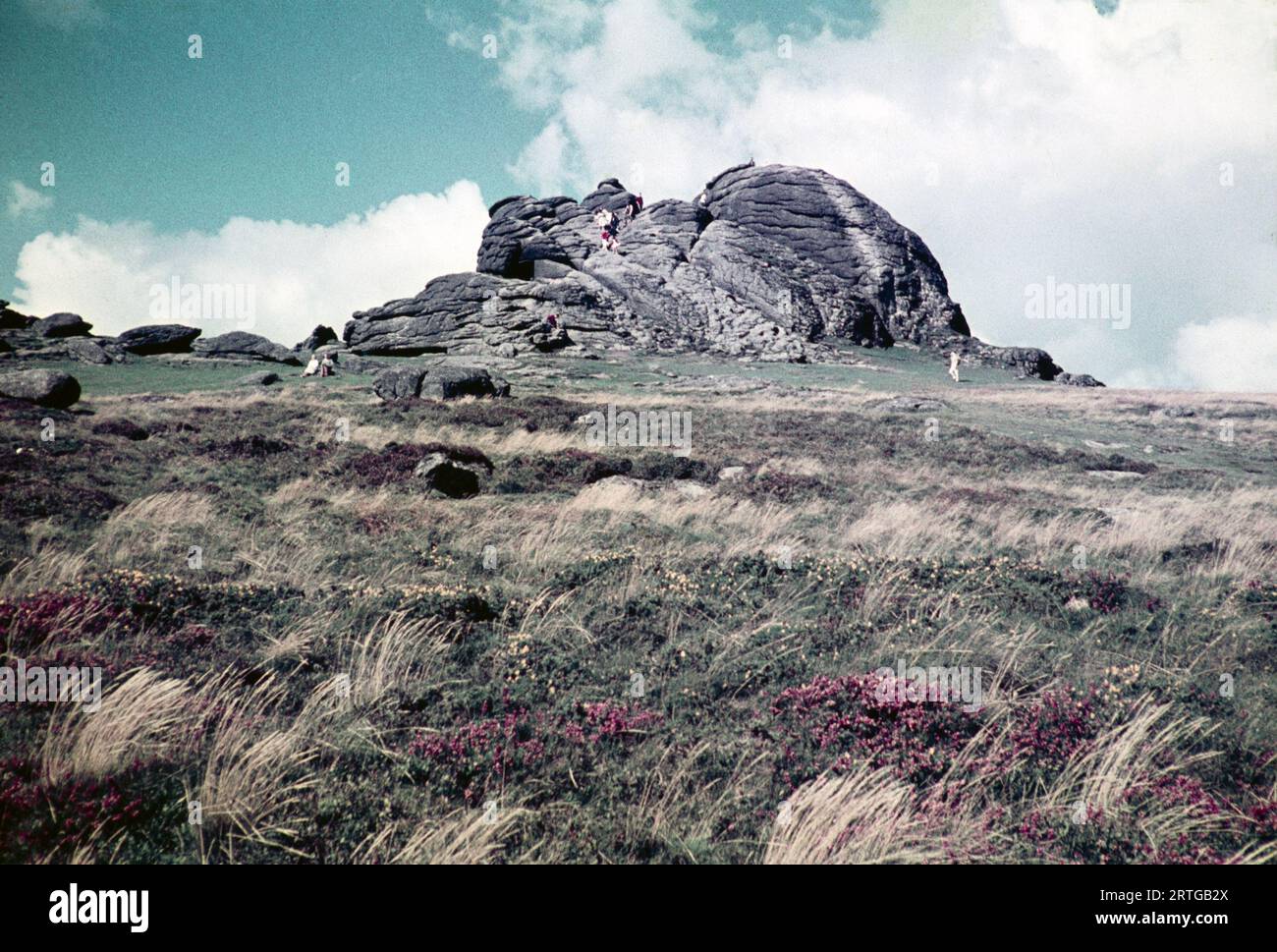 Haytor Rocks, Dartmoor national park, Devon, England, UK September 1960 Stock Photo