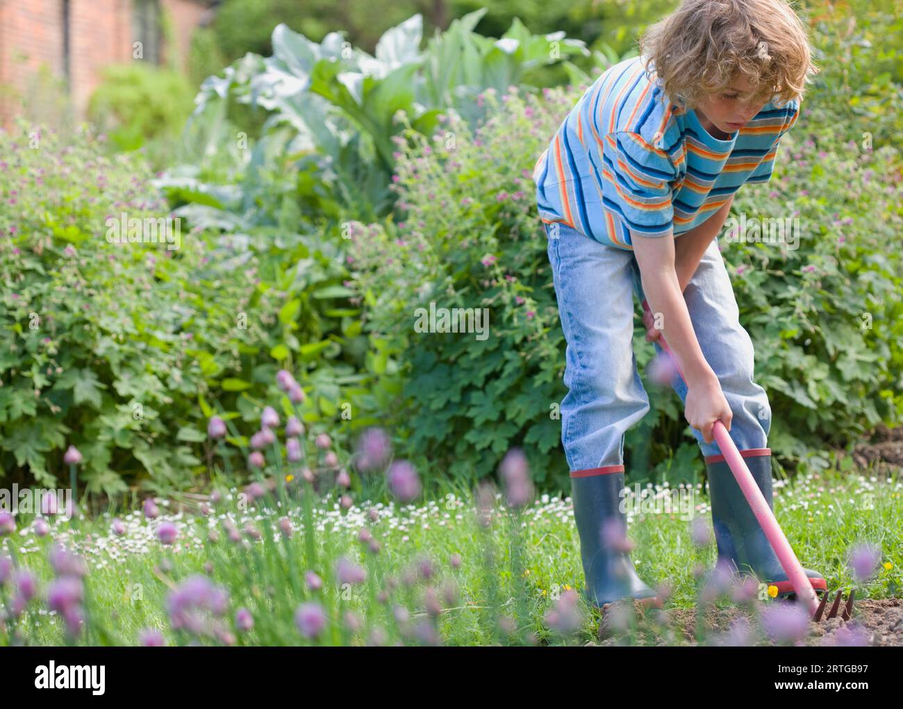 Young boy digging with hoe and fork in the garden Stock Photo