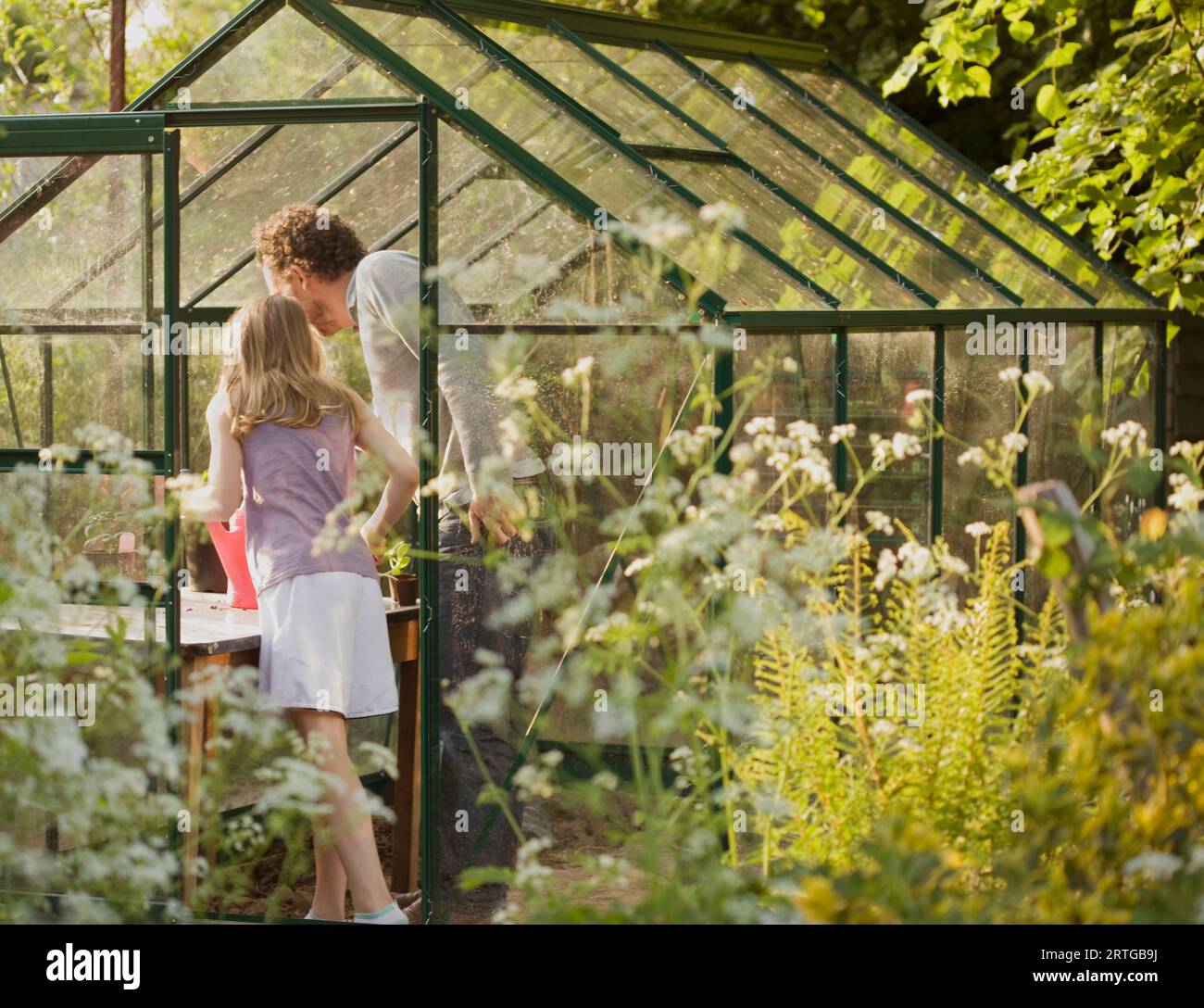 Back view of man and young girl tending plants in a greenhouse Stock ...