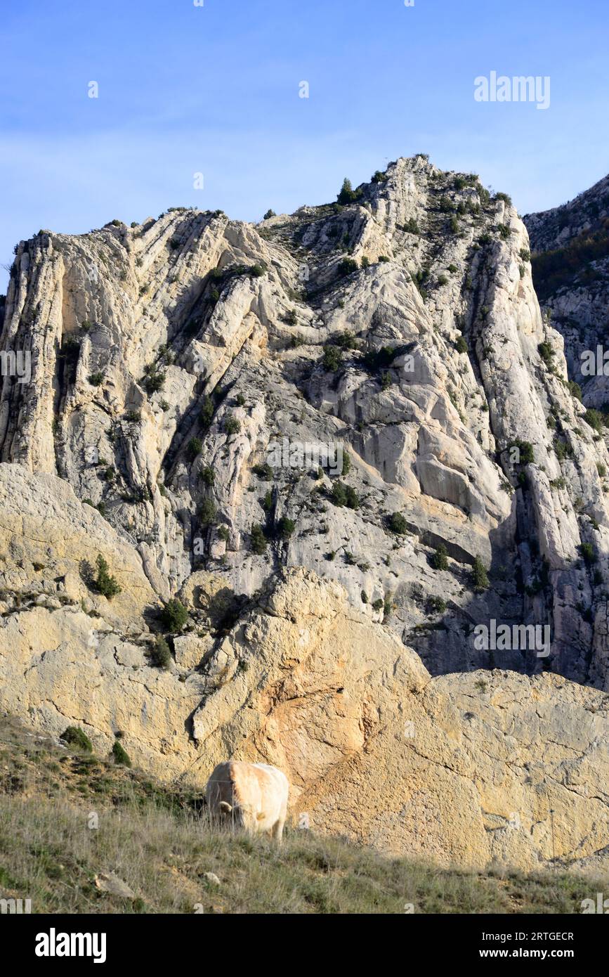Anticline and syncline folds. This photo was taken in Aliaga Geopark, Teruel province, Aragon, Spain. Stock Photo