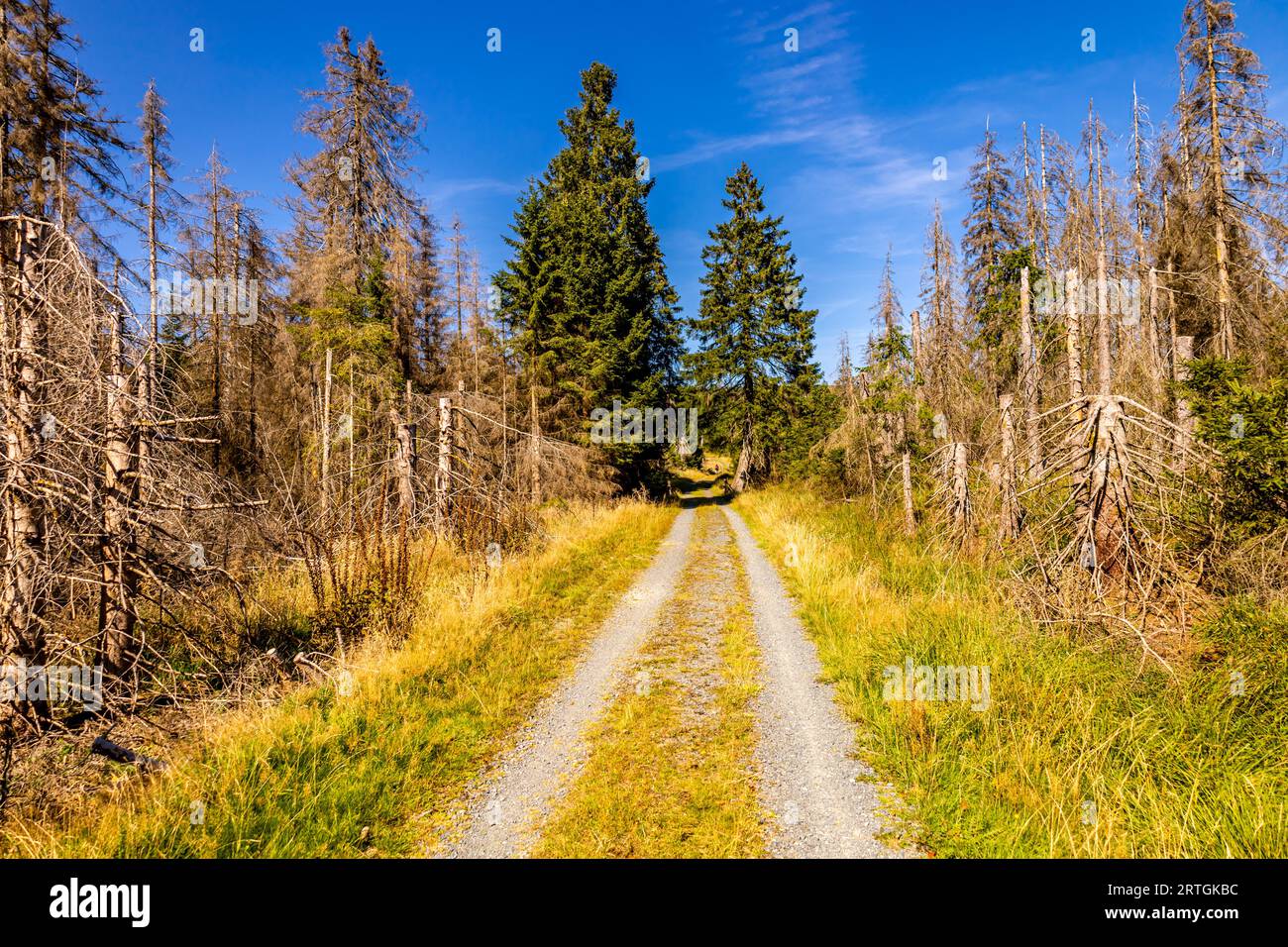 Late summer hike through the Harz National Park around Schierke ...