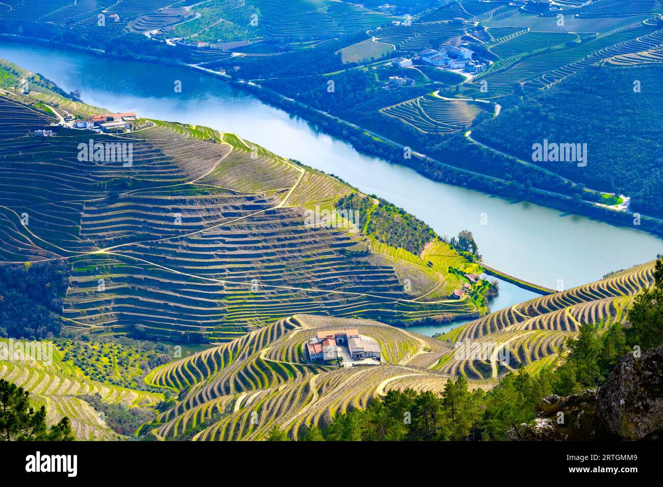 Douro Valley in Portugal Stock Photo Alamy