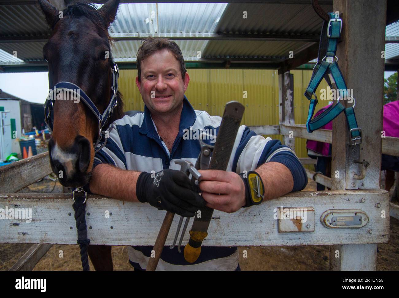Farrier Truck For Sale On Craigslist: Your Comprehensive Guide to Finding the Right Rig