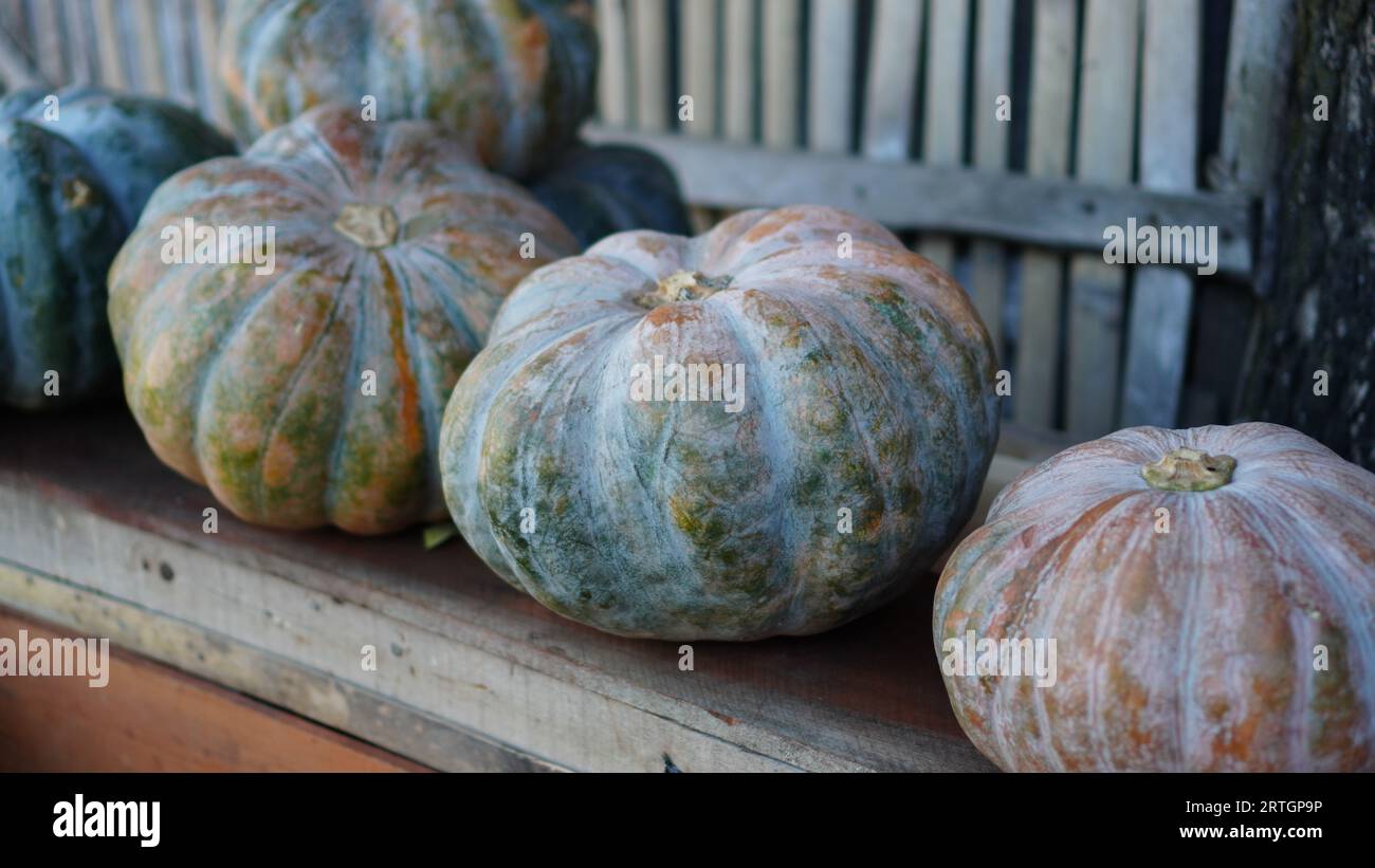 several pumpkins on the table, the color is whitish yellow Stock Photo